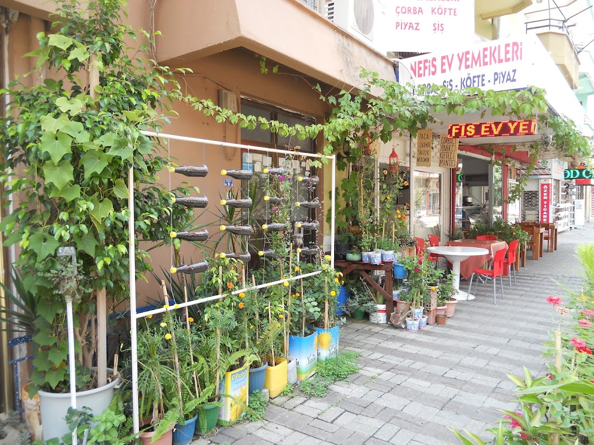 Nefis Ev Yemekleri Photos 2