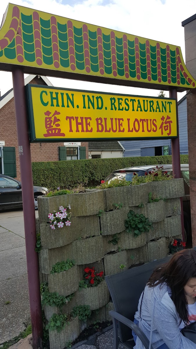 New Blue Lotus
