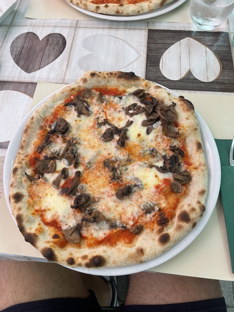 New Genzianella Photos 9