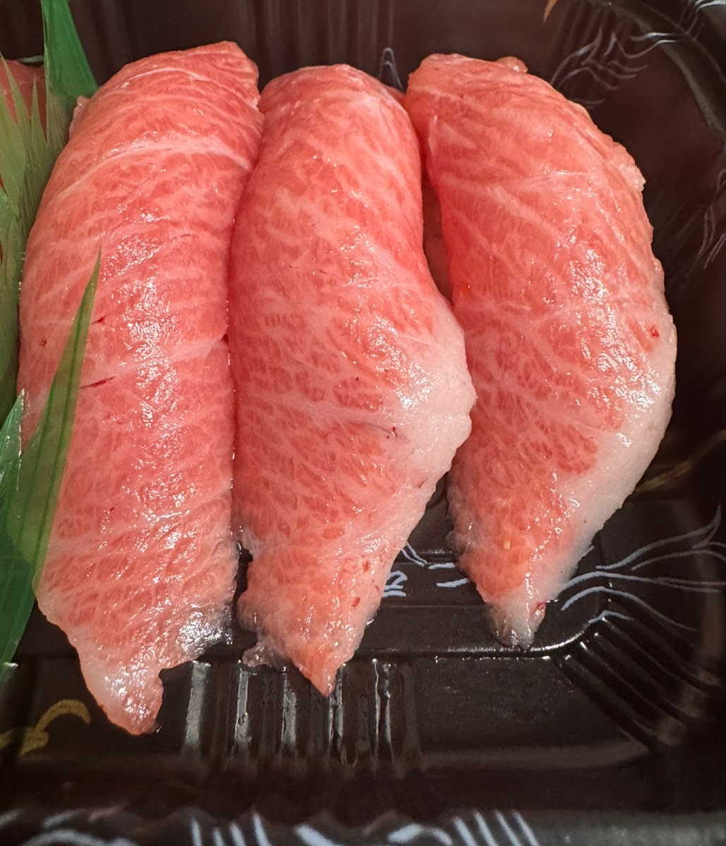 Nihon Kai Photos 2