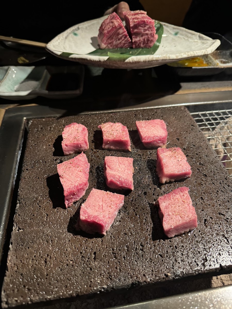 Nikusho Okamoto Photos 2