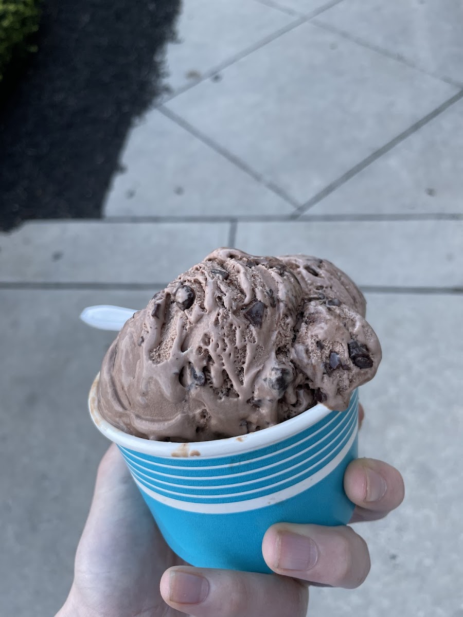 Nittany Scoops Photos 2