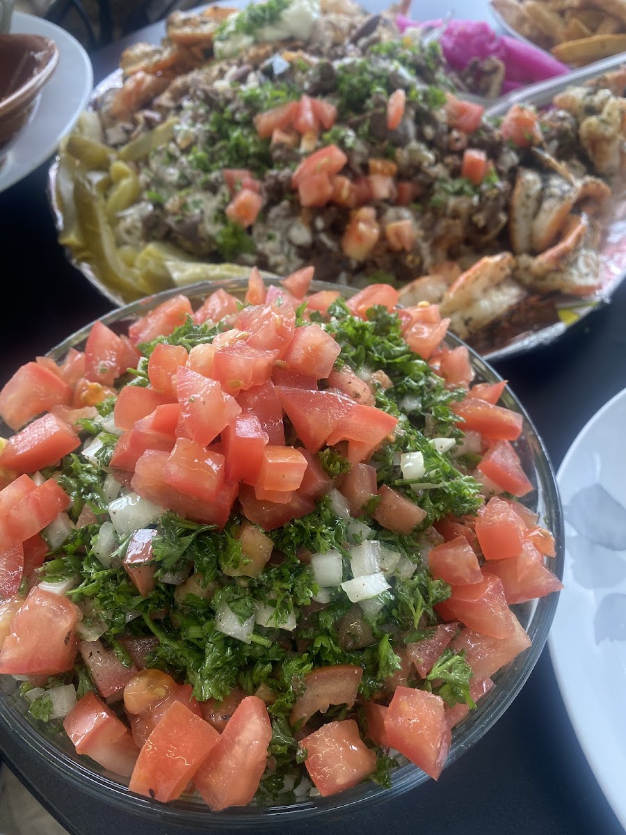 Noah's Greek Cuisine Restaurant Photos 9