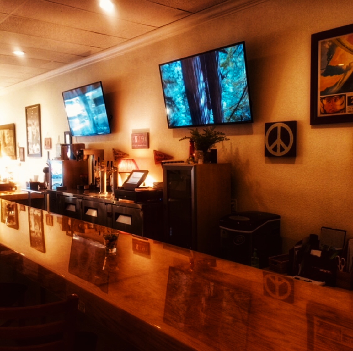 Oasis Root Coffee And Kava Lounge