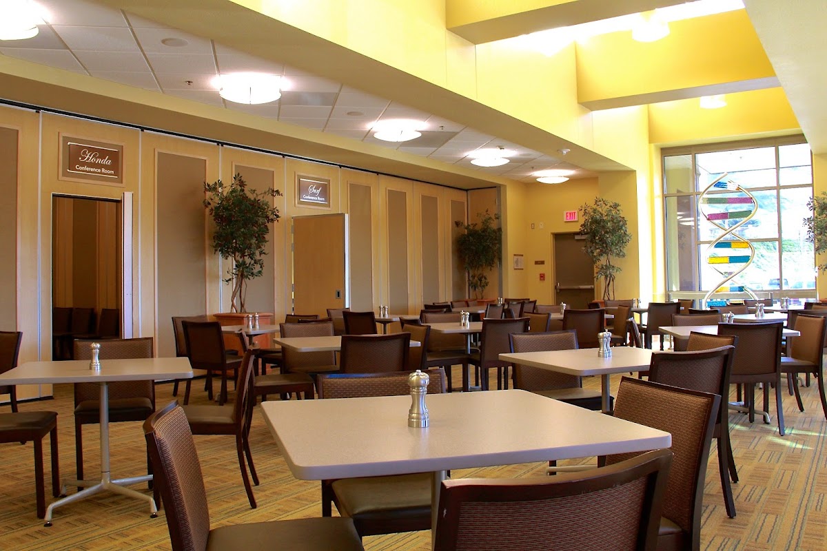 Ocean's Seven Café