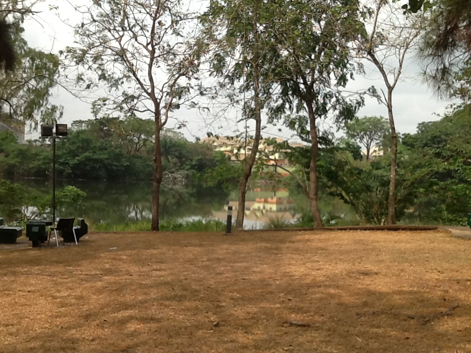 Omenala Bush Bar