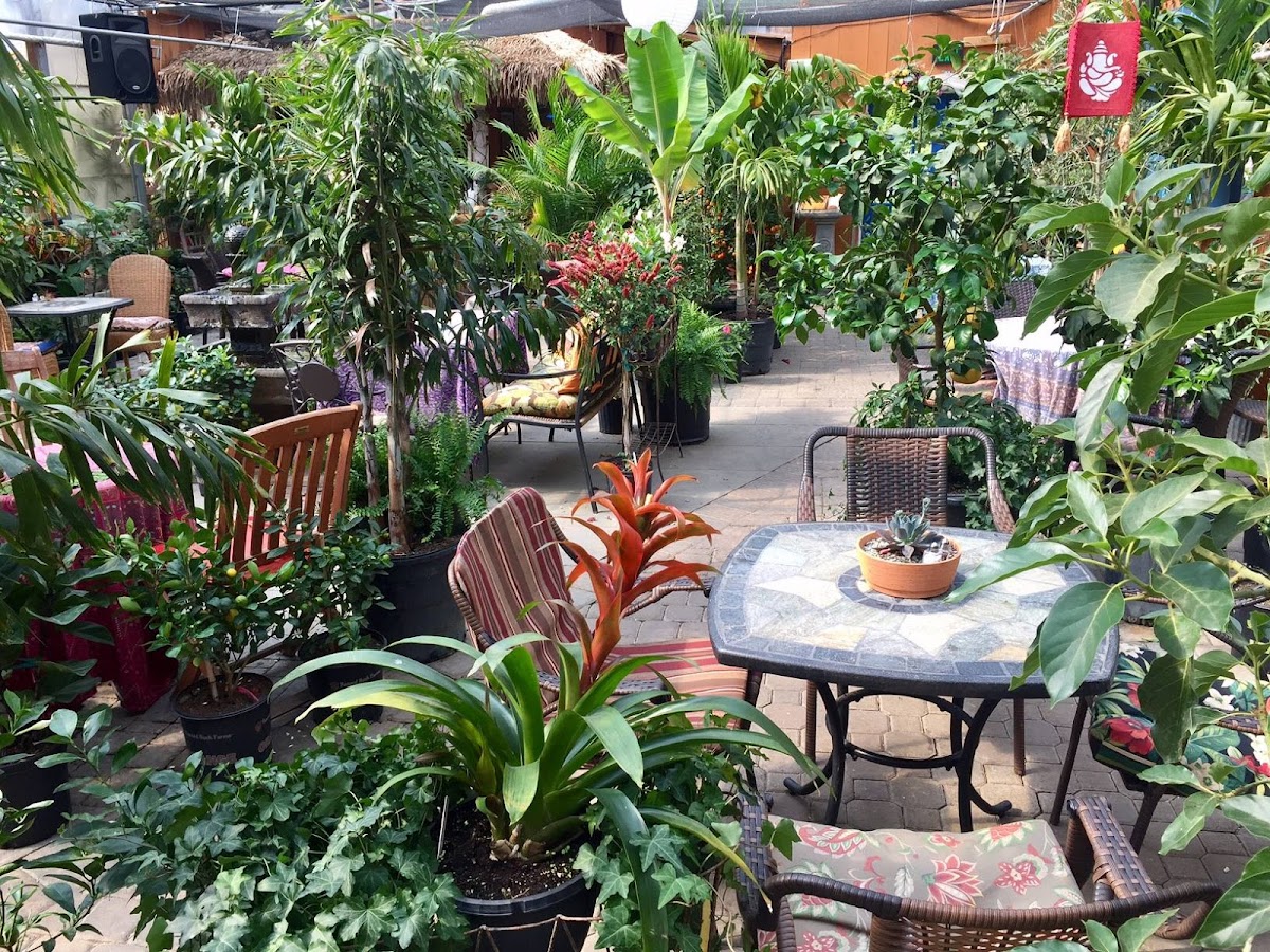 Origins Cafe Photos 2