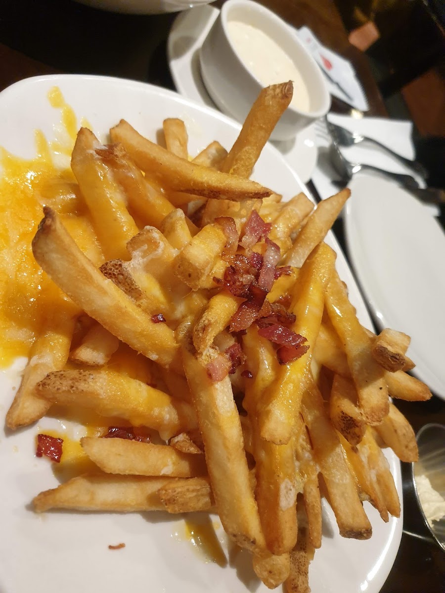 Outback Steakhouse Coex Photos 9
