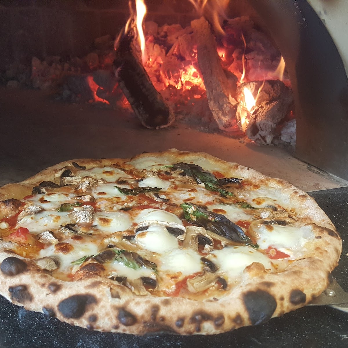 Palo Mesa Wood Fired Photos 2