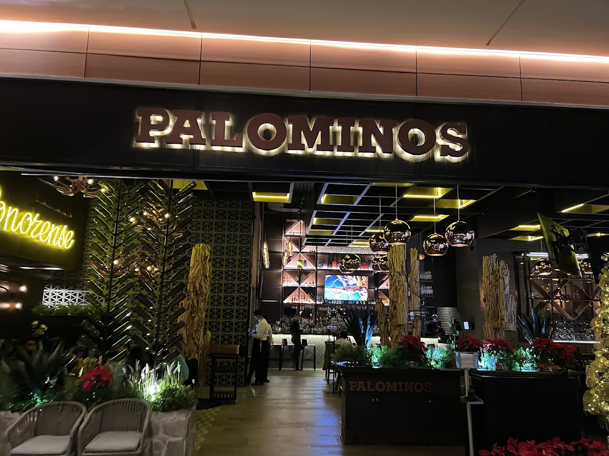 Palominos - Punto Sur