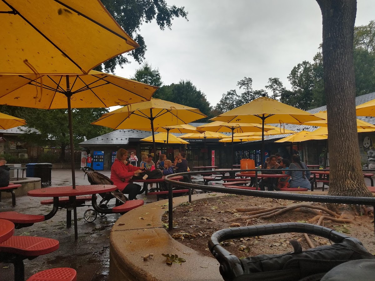 Panda Overlook Cafe