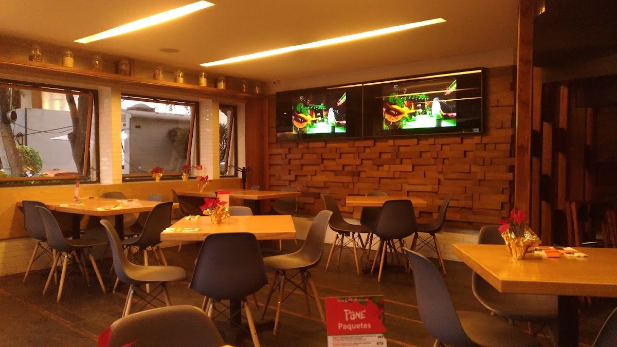 Pane En Vía Insurgentes
