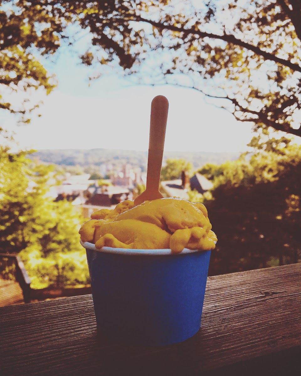 Papa Gelateria Photos 9