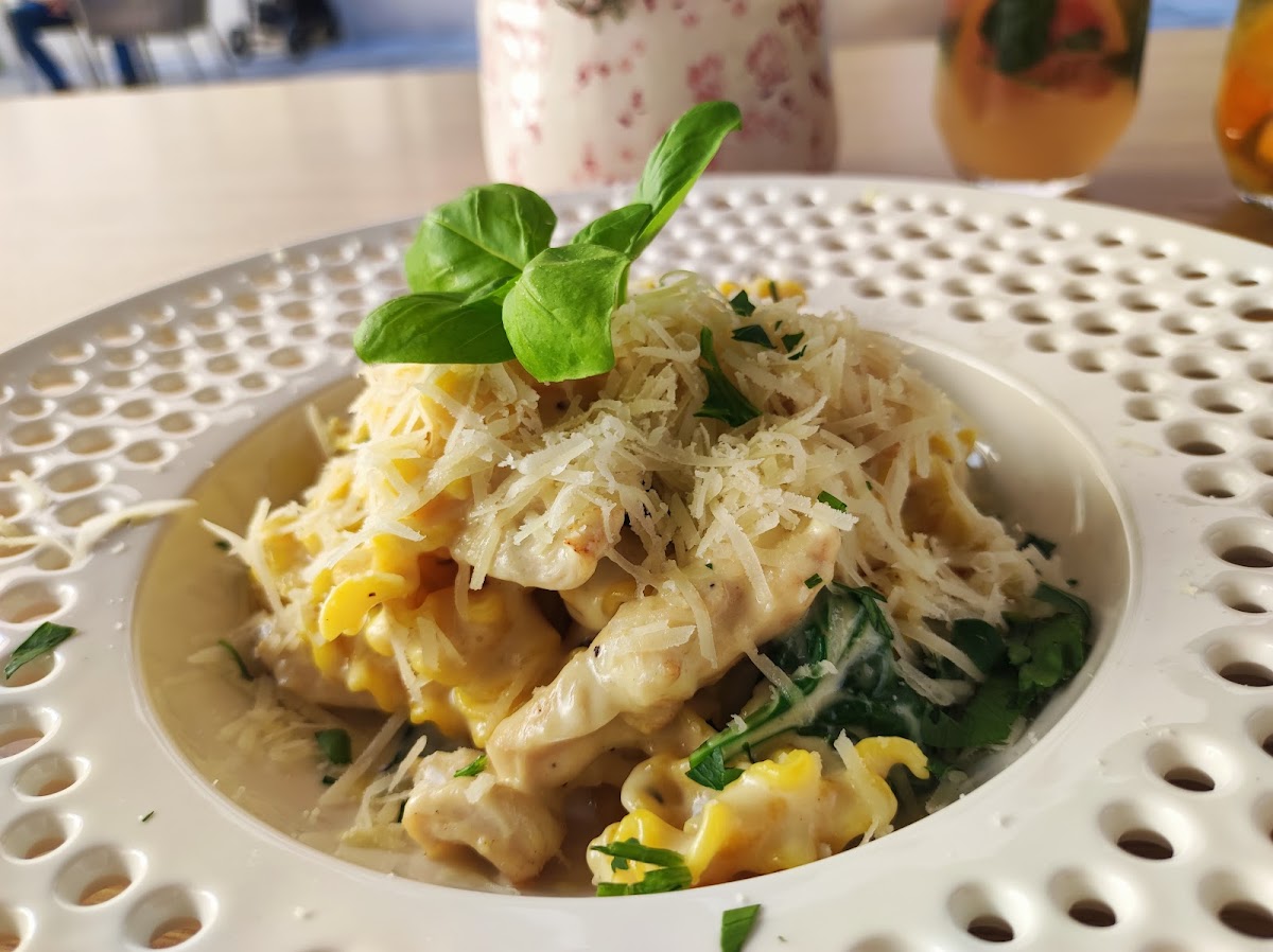 Pasta Per-Te V Opere Photos 9
