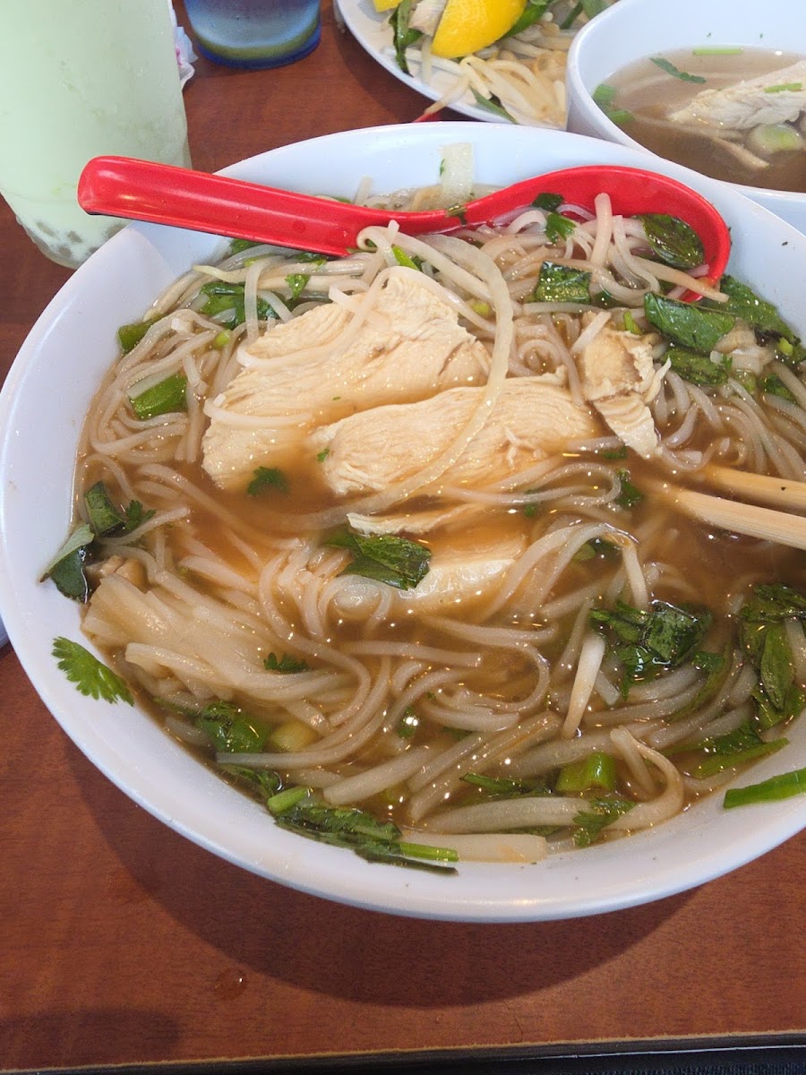 Pho America Vietnamese Cuisine Photos 2