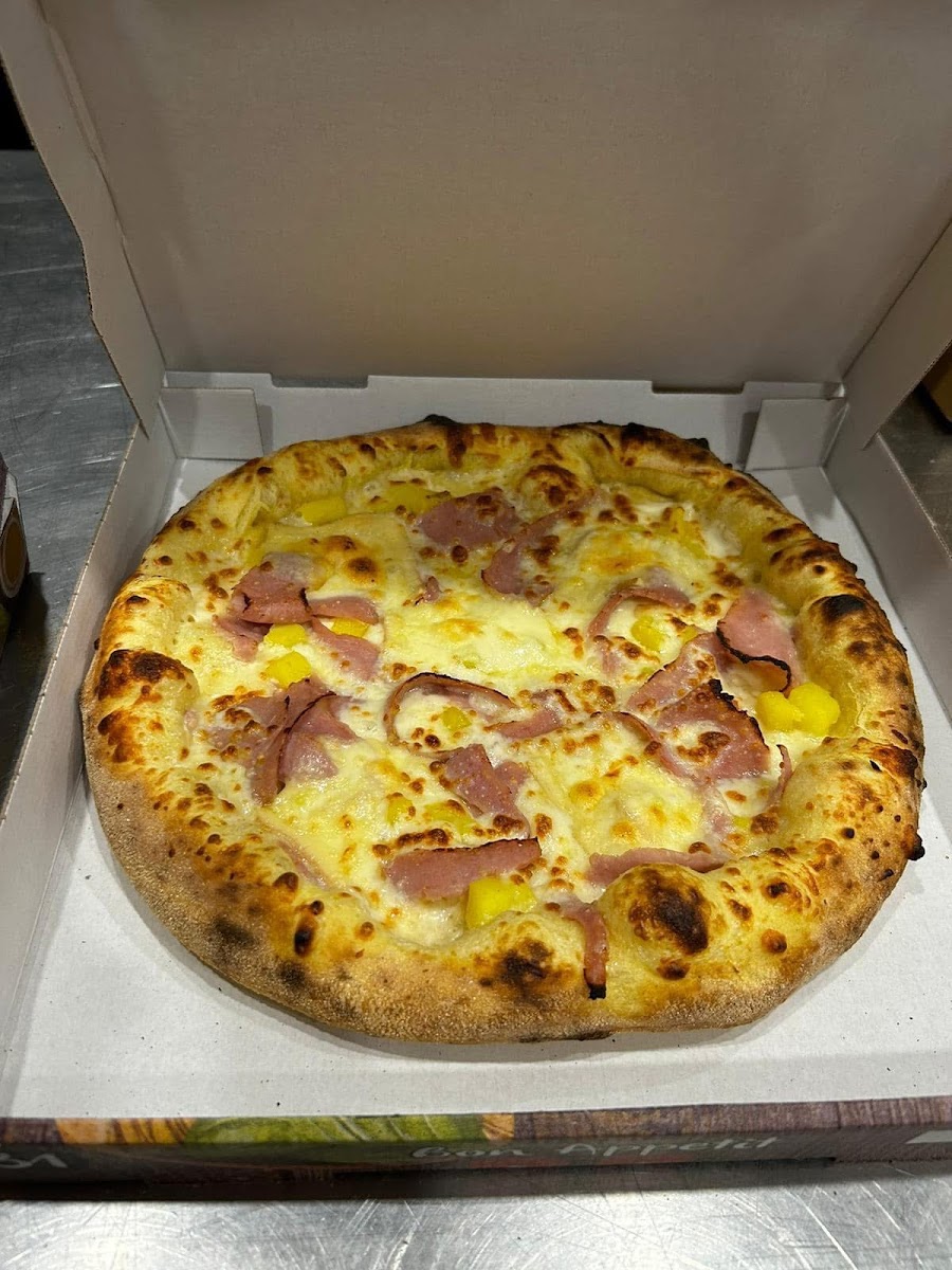 Pizza Bella Vita Photos 2