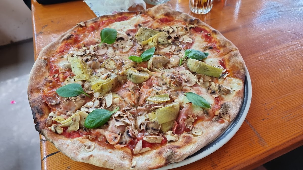 Pizzeria Shark Photos 9