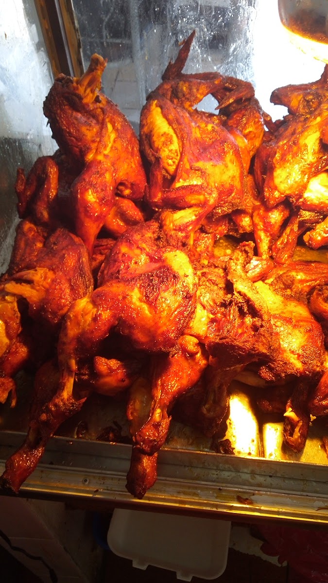 Pollo Bronco Photos 2