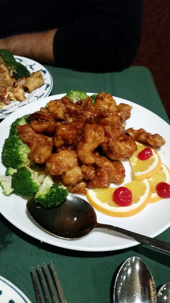 Precious Chinese Cuisine Photos 9