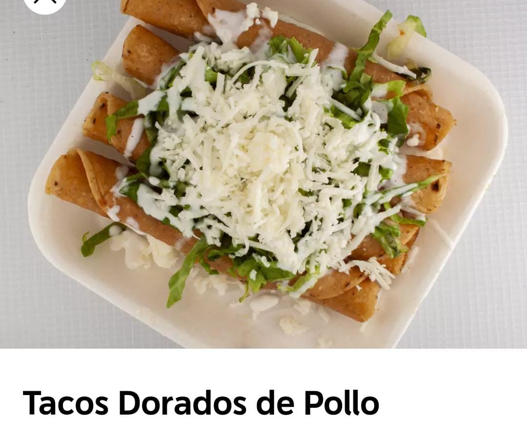Quesadillas Avica