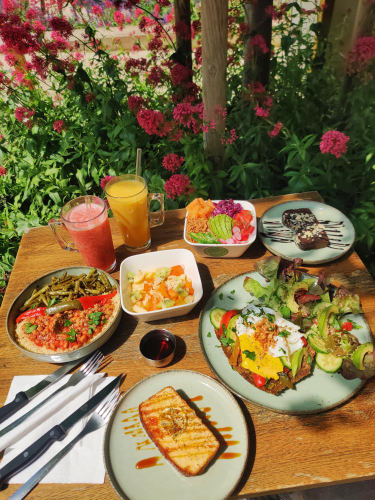 Quick And Healthy Photos 2