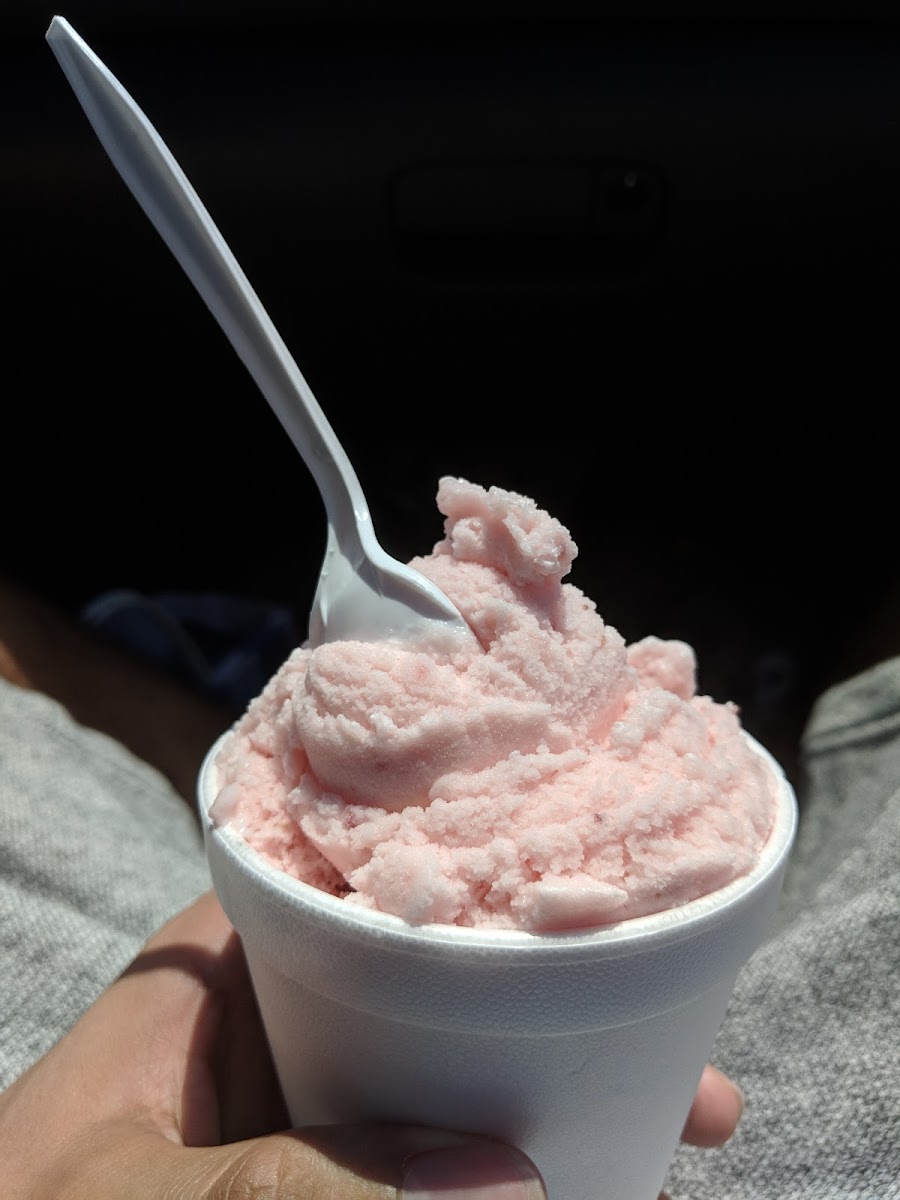 Ralphs Italian Ices Photos 2