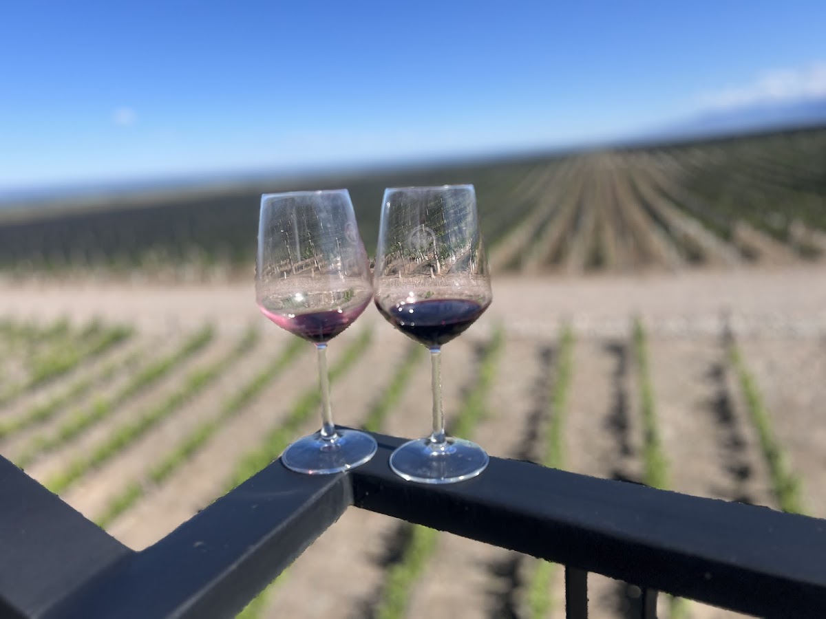 Rastro By Huentala Wines Photos 2
