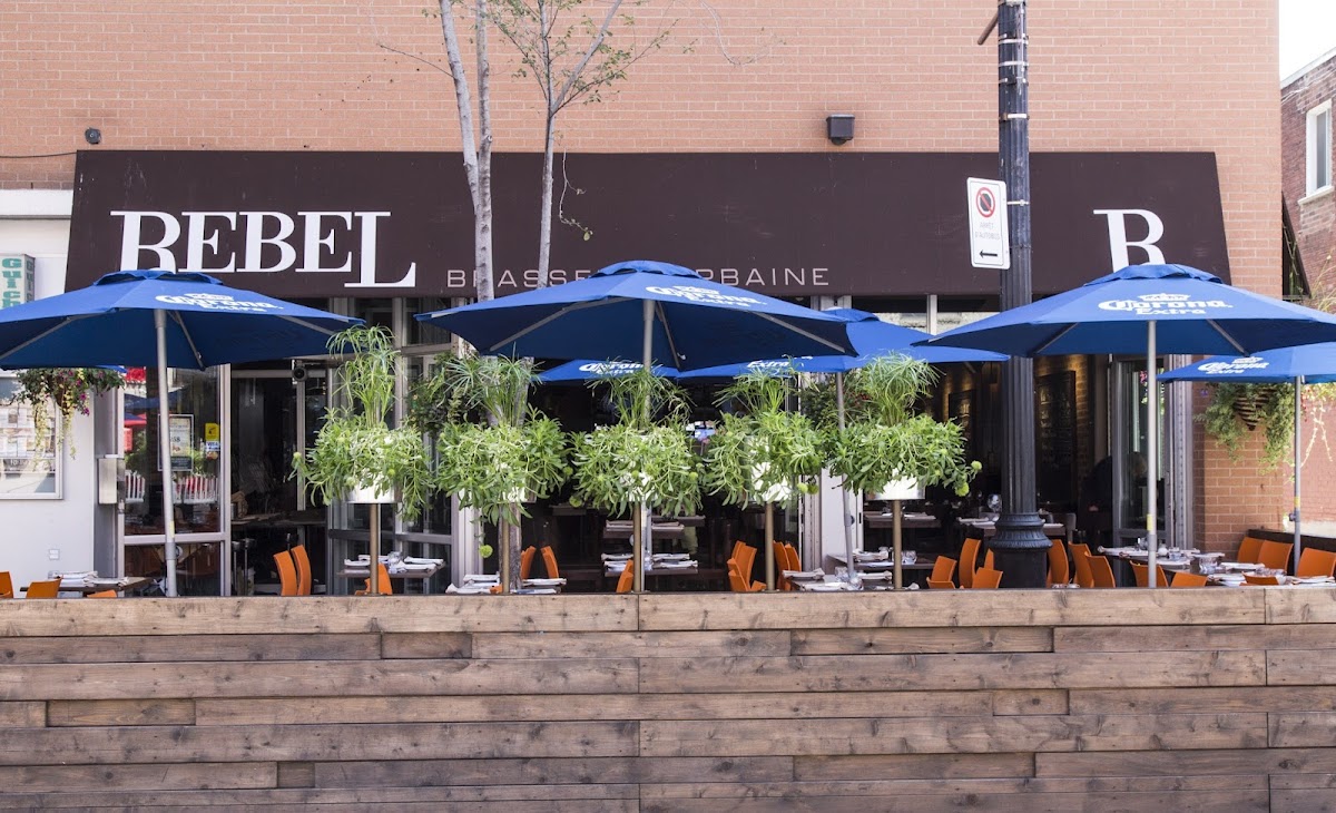 Rebel Brasserie Urbaine