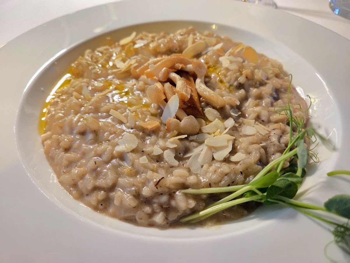 Restauracja Piechowice - Stara Bielarnia (Alte Bleiche) Photos 2