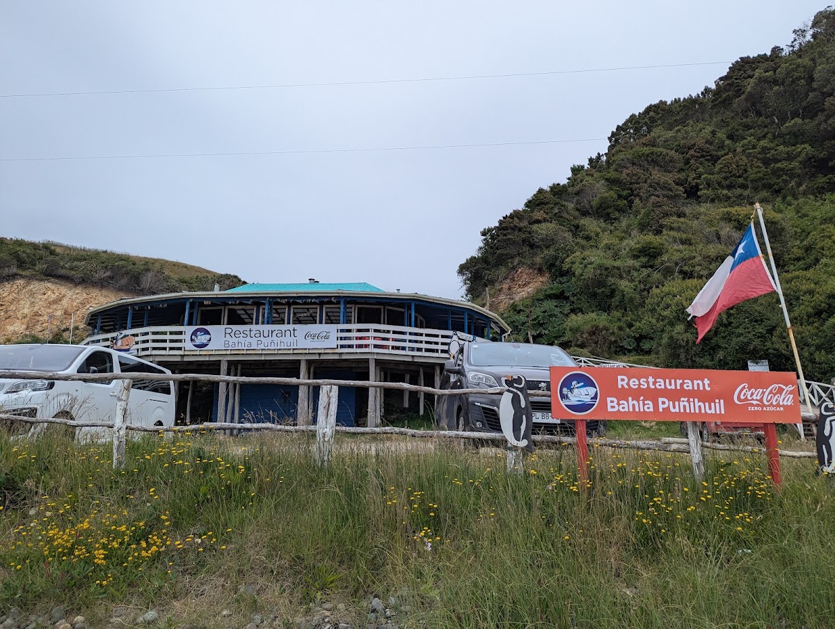 Restaurant Bahia Puñihuil - Chiloé Photos 2