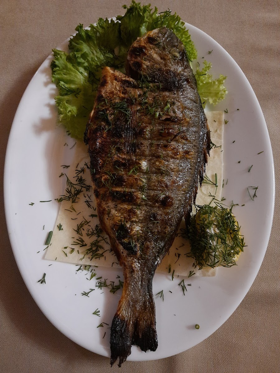 Restaurant Gagra Photos 9