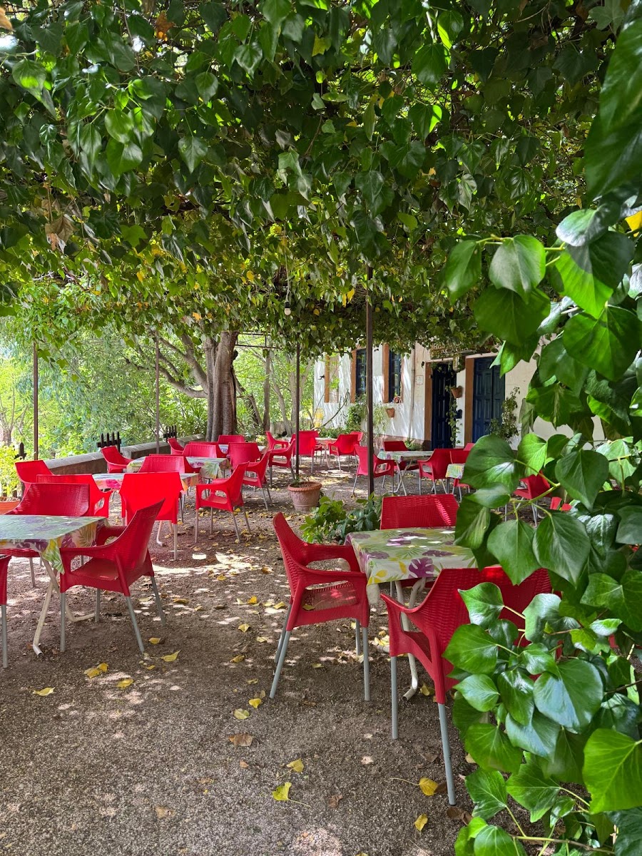 Restaurante Acacia