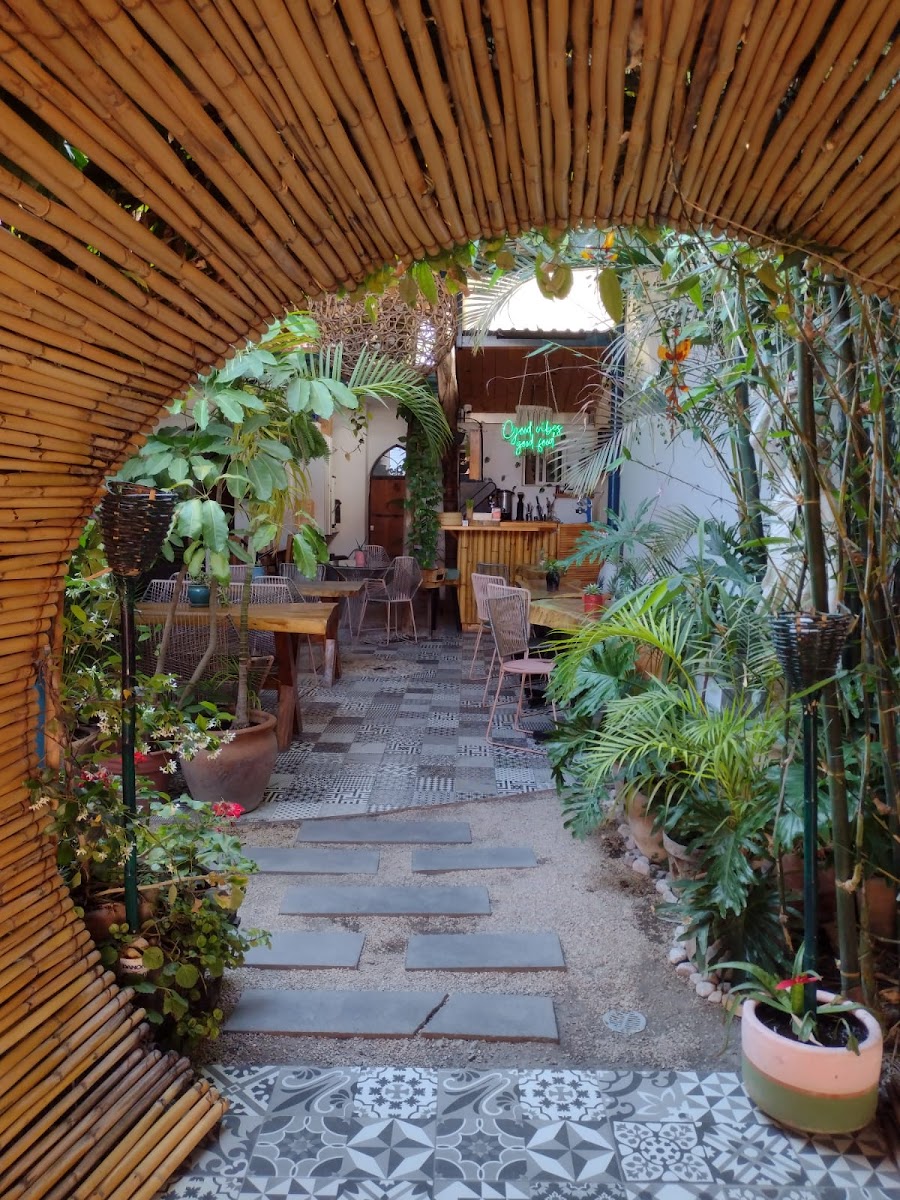 Restaurante Bali Bowl House En Cholula Photos 2