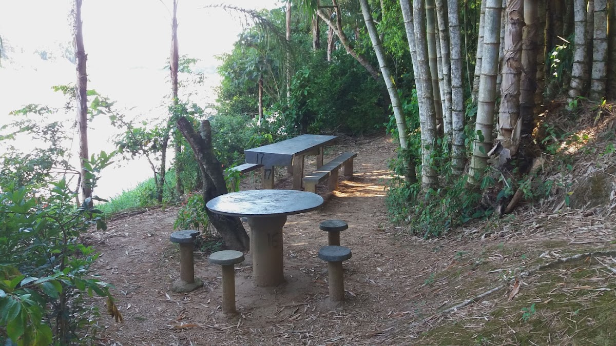 Restaurante E Lanchonete Oásis
