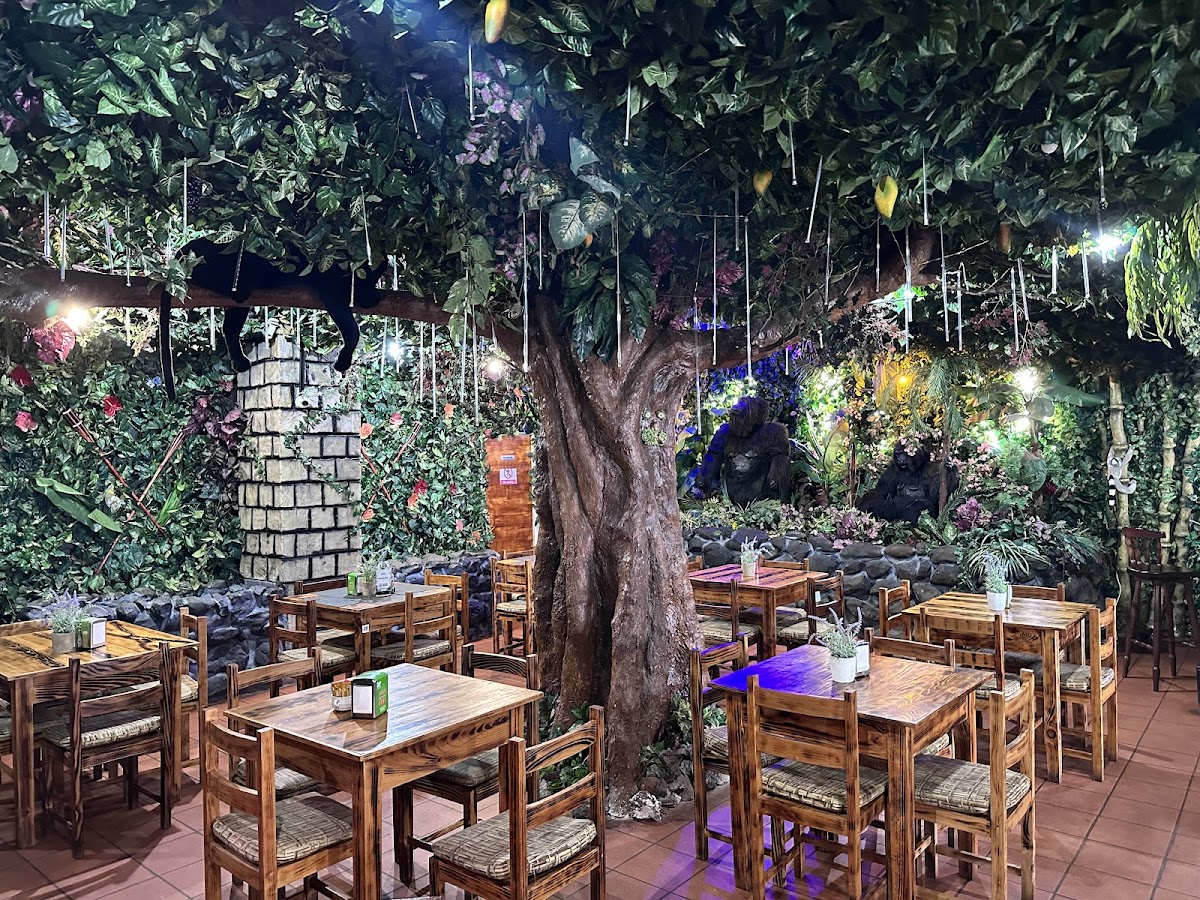 Restaurante Jungle Rain