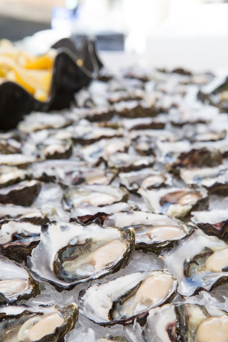 Richmond Oysters Photos 2