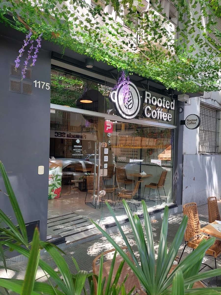Rooted Coffee