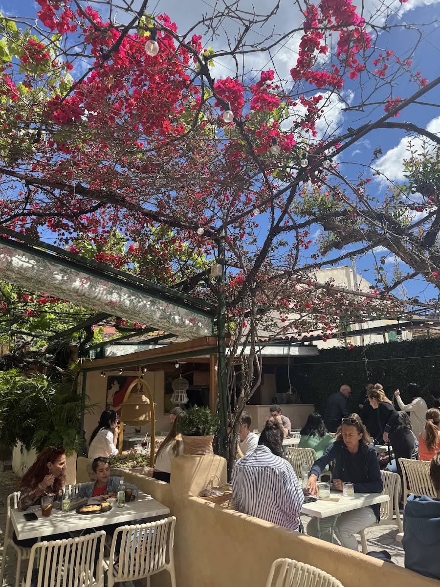 Sa Ximbomba | Pizzeria Palma