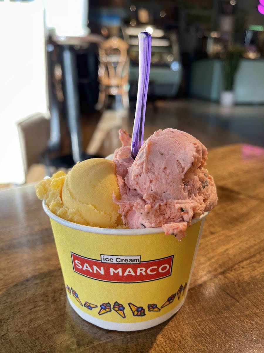 San Marco Ice Cream Photos 9