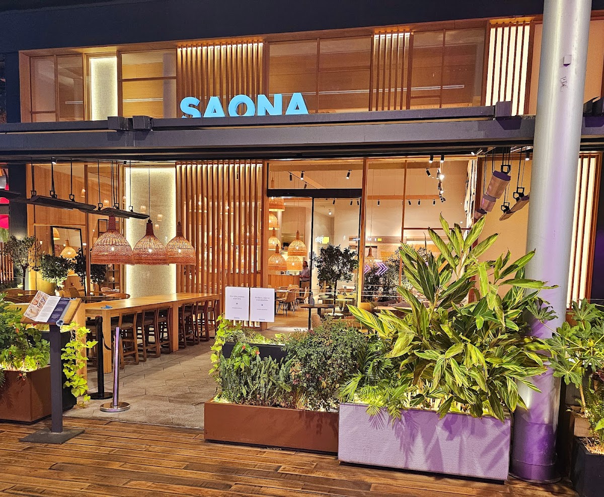 Saona La Maquinista