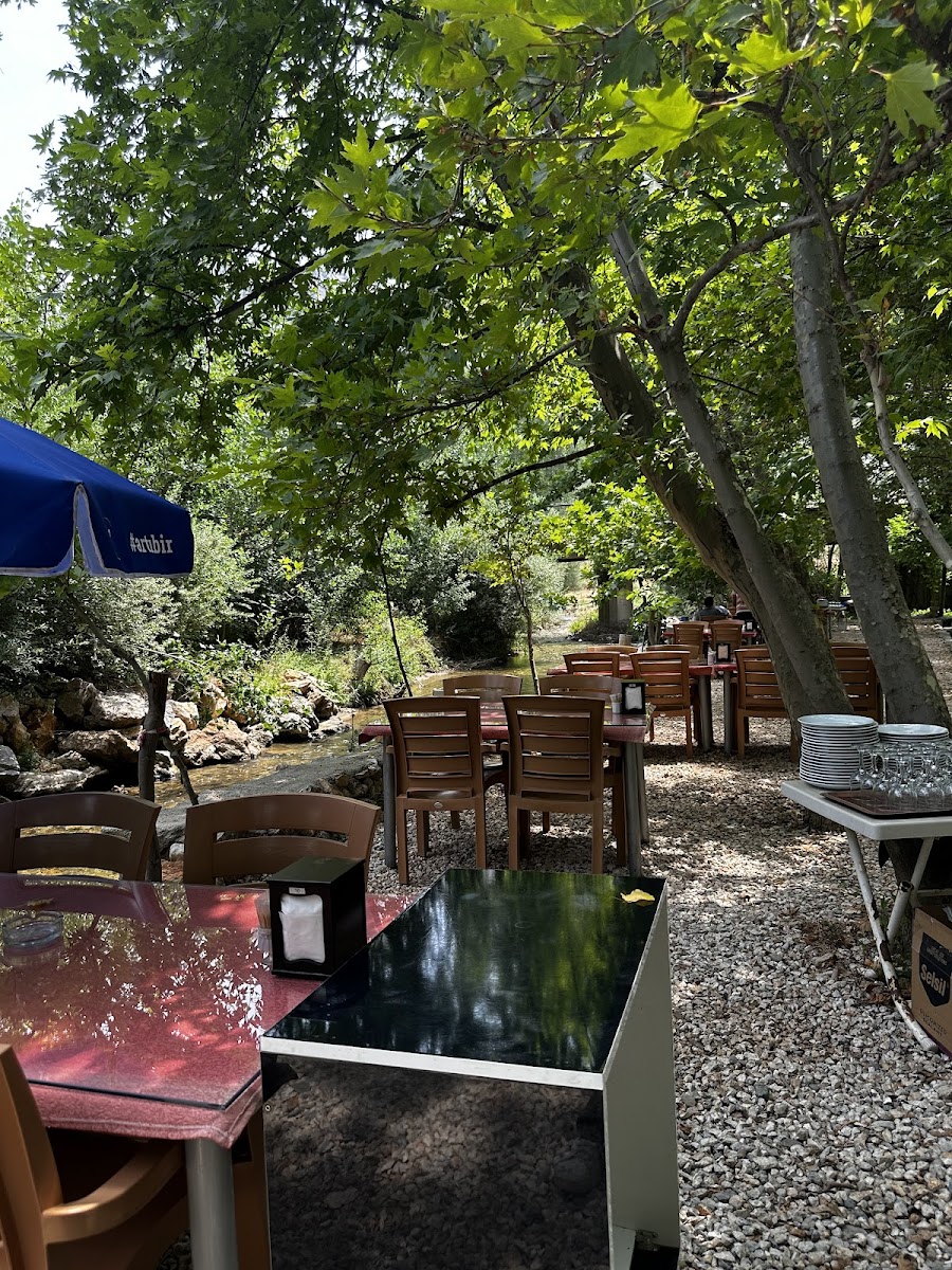 Sarmaşik Restaurant & Otel