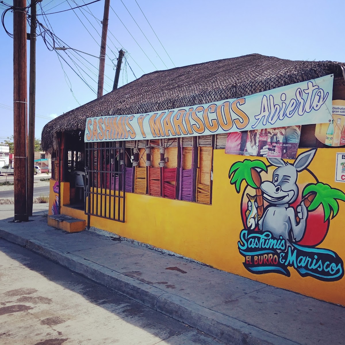Sashimis Y Mariscos El Burro