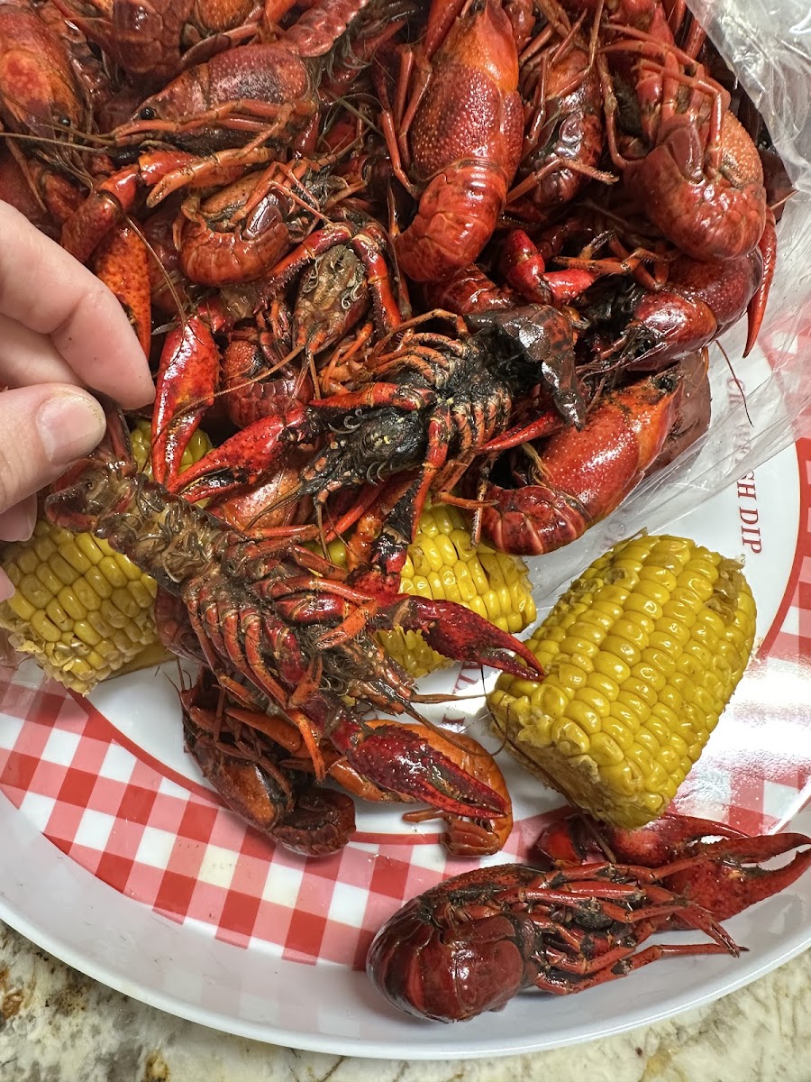 Seafood Corner Photos 2