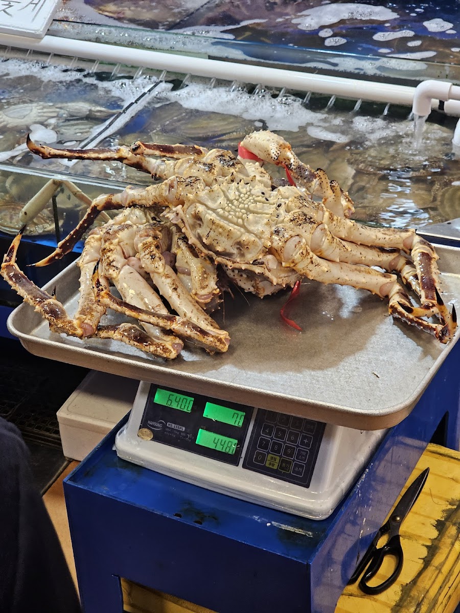 Seafood Market Photos 2