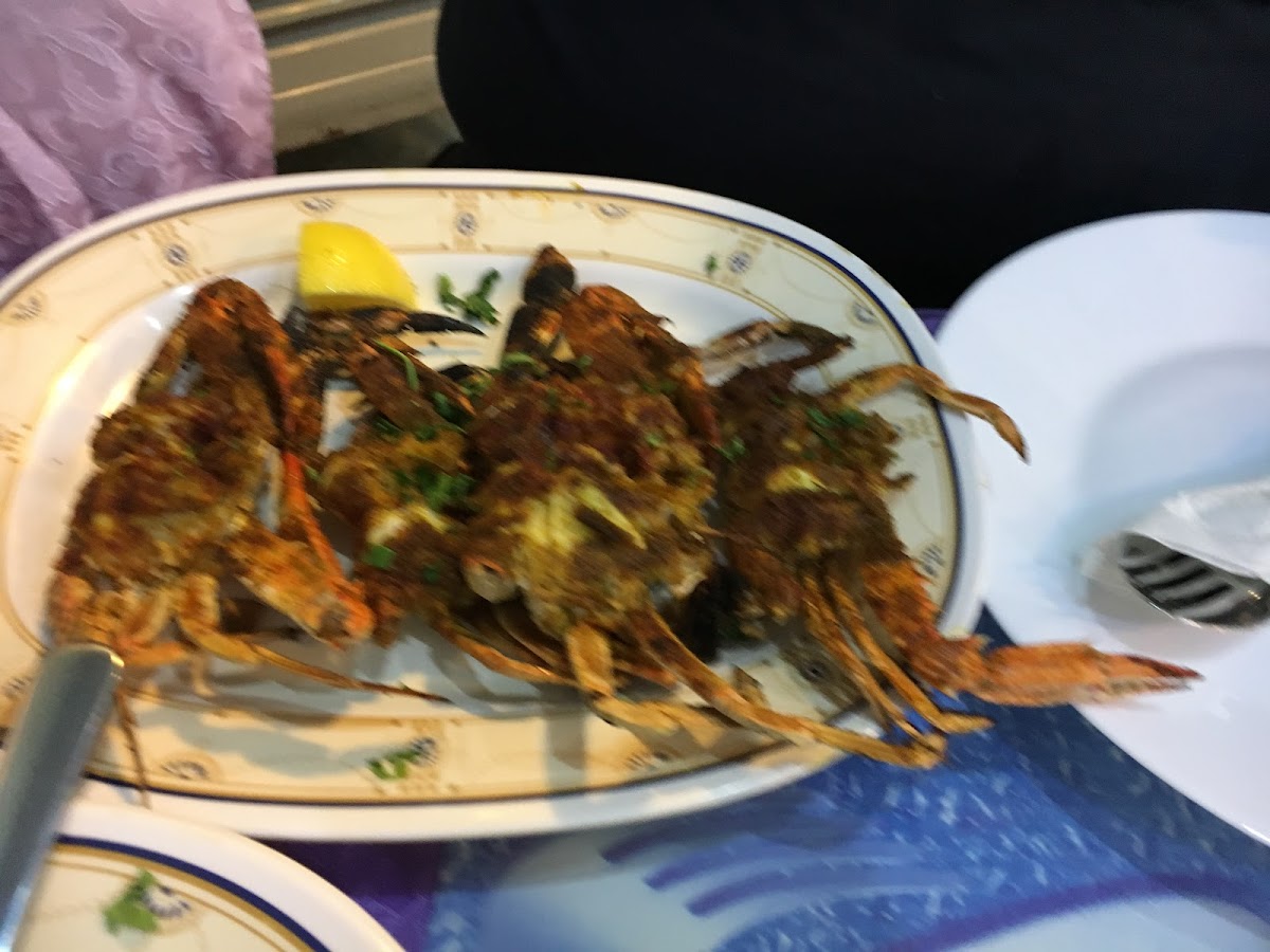 Seagulls' Catch Restaurant - صيد النورس للمأكولات البحرية Photos 9