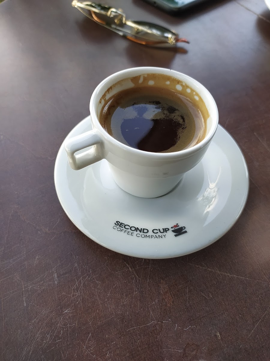 Second Cup Photos 9