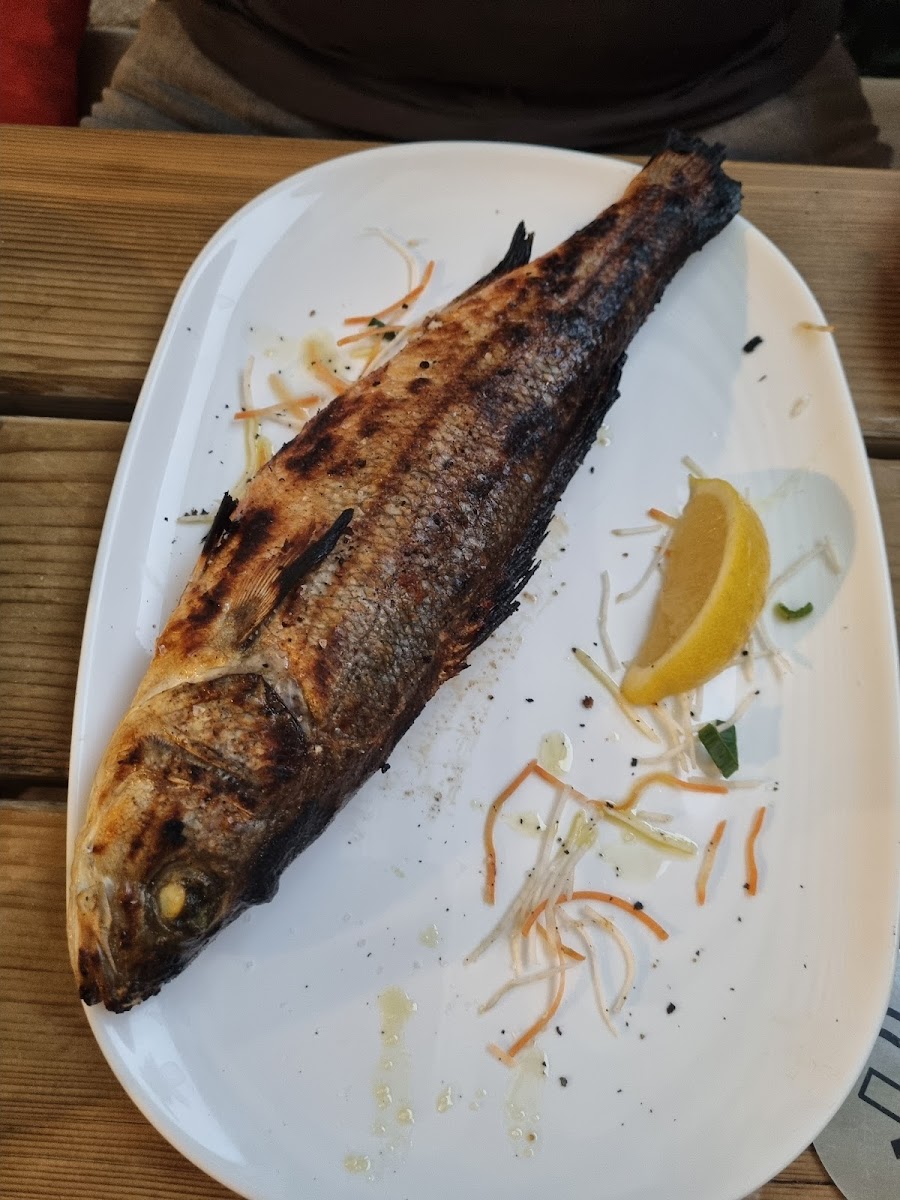 See La Vie Fischrestaurant Photos 9