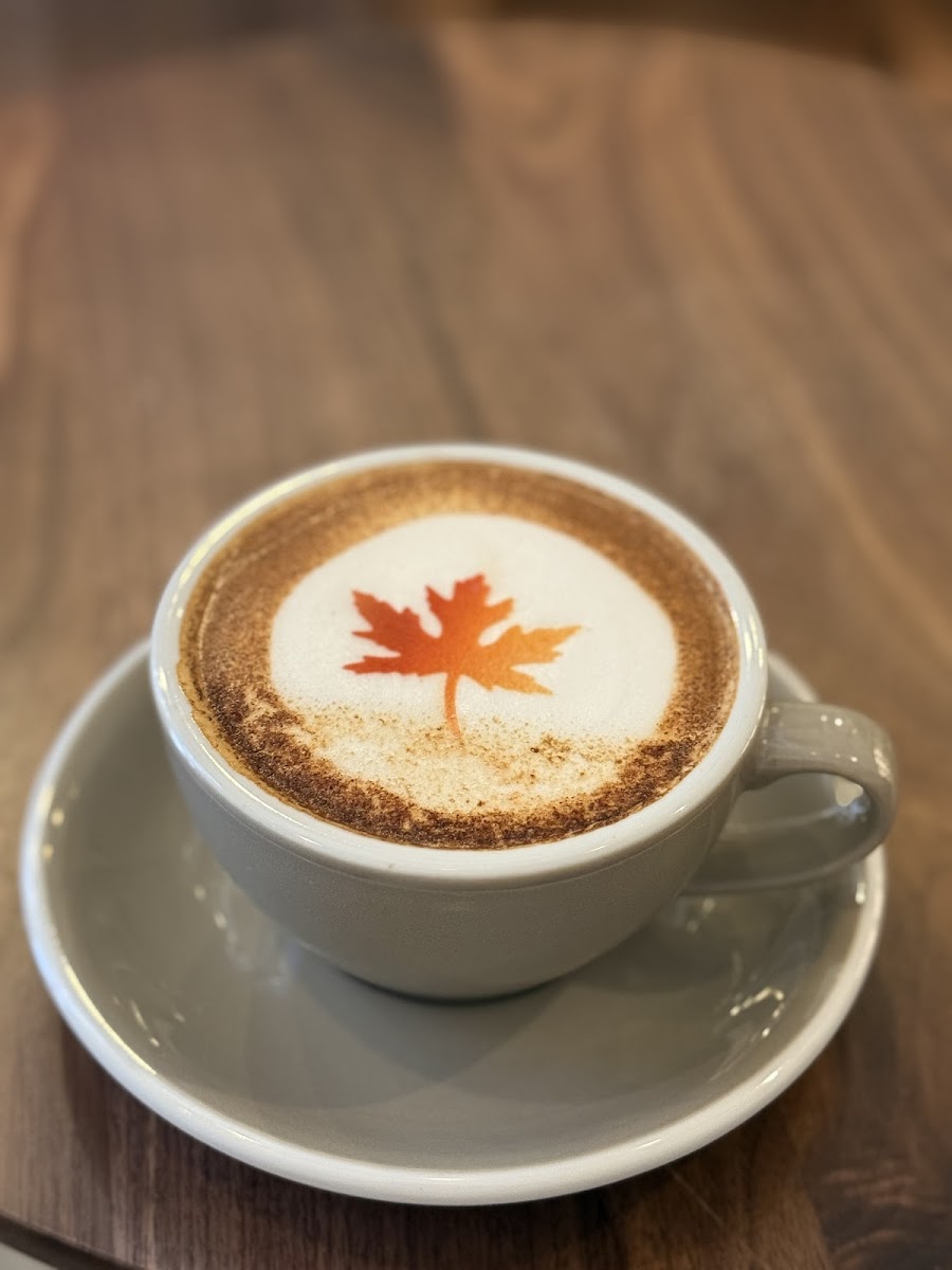 Sheer Coffee Photos 2
