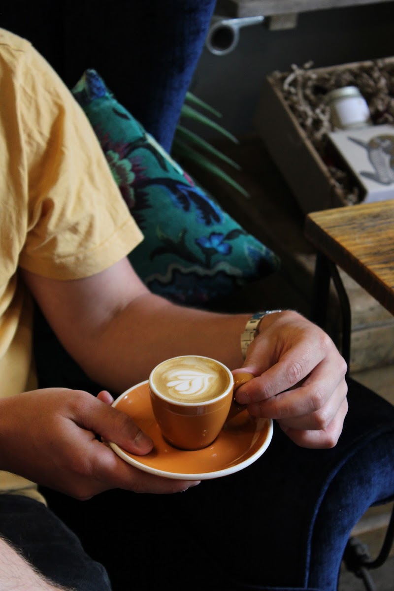 Sips At No 33 Photos 9
