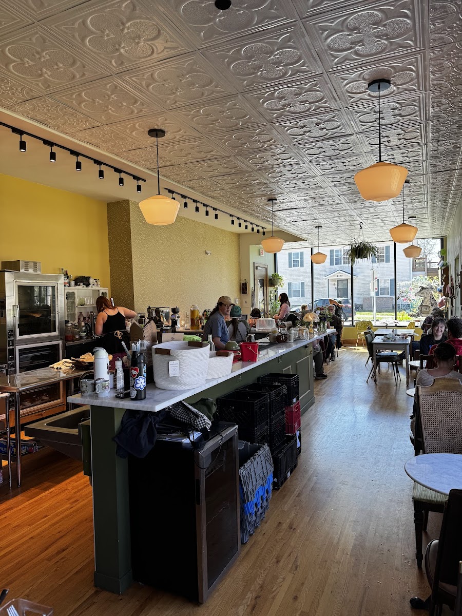 Sleepy Opossum Cafe